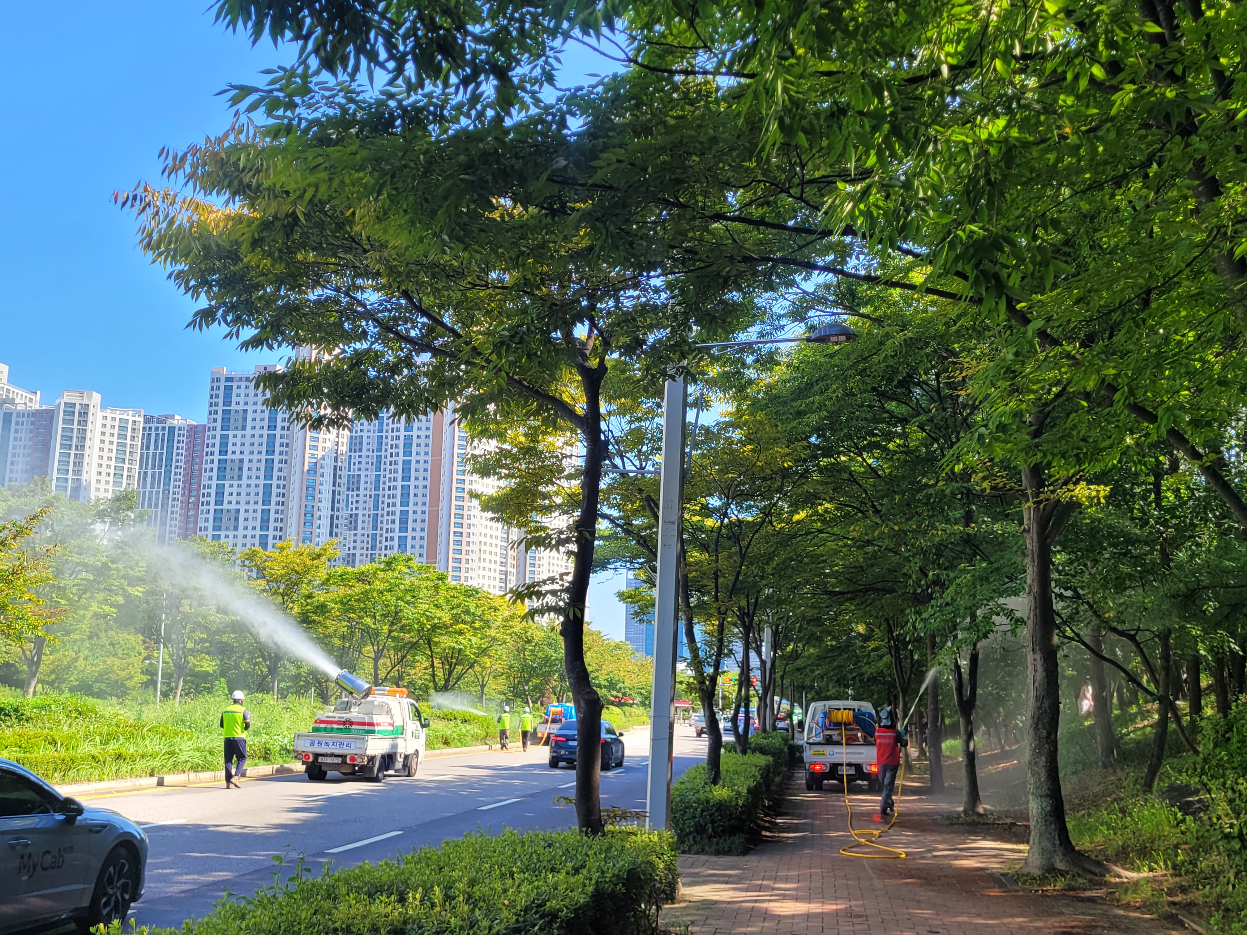 연수구는 전국적으로 미국흰불나방 2화기 유충 피해가 확산함에 따라 지난 5일 송도도시관리과와 공원녹지과 연수구시설안전관리공단은 관내 공원과 녹지 일대에서 합동 방제 작업을 진행했다